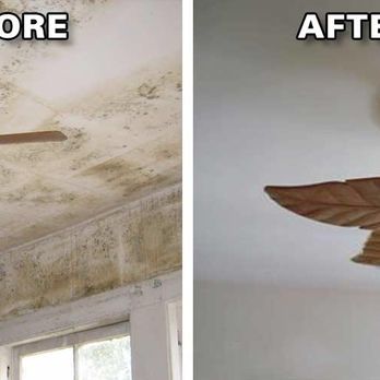 Mason Dixon HVAC - Complete Water Damage Repair - Carpet Cleaning Near Me - Seattle, Maryland Mason Dixon HVAC - Complete Water Damage Repair - Carpet Cleaning Near Me - Seattle, Maryland