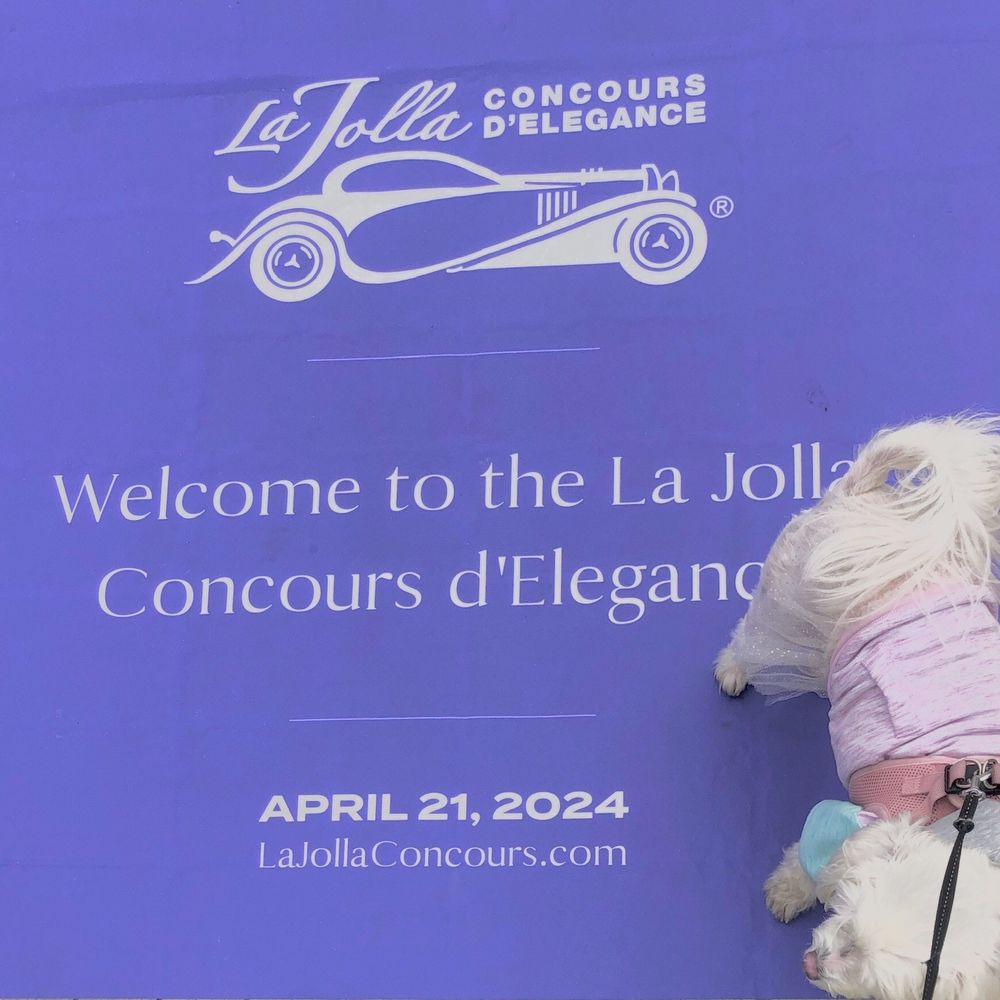 La Jolla Concours D’Elegance - Party Equipment Rentals Near Me - San Diego, California La Jolla Concours D’Elegance - Party Equipment Rentals Near Me - San Diego, California