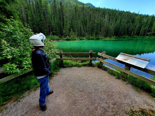 Kootenay National Park by null