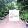Photo of Go Natives Nursery