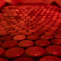Cove Wellness - Infrared Jade Sauna