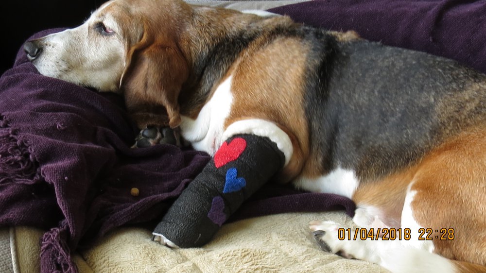 TIBBETTS LUMBER Updated September 2024 3300 Fairfield Ave S, St. Petersburg, Florida Home