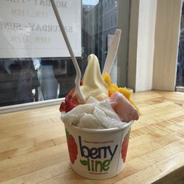 Small Frozen Yogurt Multi Toppings Small Frozen Yogurt Multi Toppings