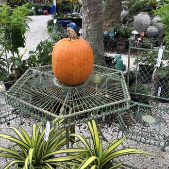 Rock City Gardens - Nurseries & Gardening Near Me - Sebastian, Florida Rock City Gardens - Nurseries & Gardening Near Me - Sebastian, Florida