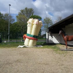 Gutshof Eichholz - Sagenhaft wie groß der Spargel hier ist
