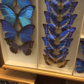 Field Museum - Museums Near Me - Chicago, Illinois Field Museum - Museums Near Me - Chicago, Illinois