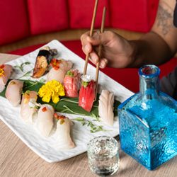 Trust 10 pc nigiri