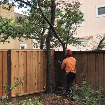 BioScapes Treecare - When professionals do it - it looks easy. - Landscaping Near Me - Union City, California BioScapes Treecare - When professionals do it - it looks easy. - Landscaping Near Me - Union City, California