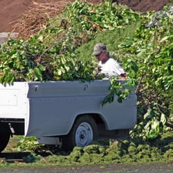 Lane Forest Products