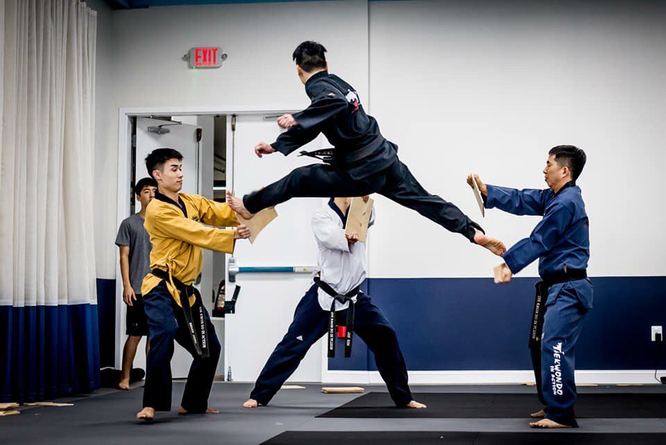 Taekwondo In Action Logo