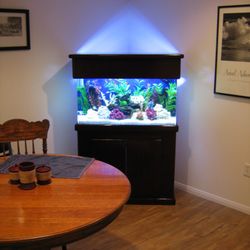 So Cal Aquatic Life Service - Family room aquarium system