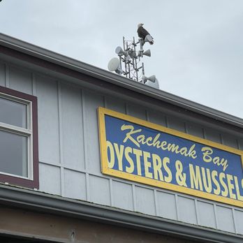 Broken Oar Oyster Bar - Eagle sitting atop restaurant - Wine Bars Near Me - Homer, Alaska