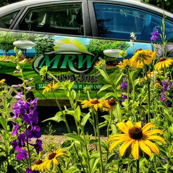 Mrw Lawns - Transform your outdoor space into a haven for pollinators! Discover the beauty of our pollinators garden and wildflower meadows at MRW Lawns - Pest Control Near Me - LaPlata, Maryland Mrw Lawns - Transform your outdoor space into a haven for pollinators! Discover the beauty of our pollinators garden and wildflower meadows at MRW Lawns - Pest Control Near Me - LaPlata, Maryland