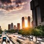 Photo of Concierge Auto Transport