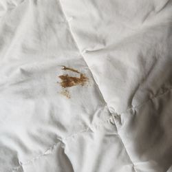 Quality Inn - Ummmm....yeah