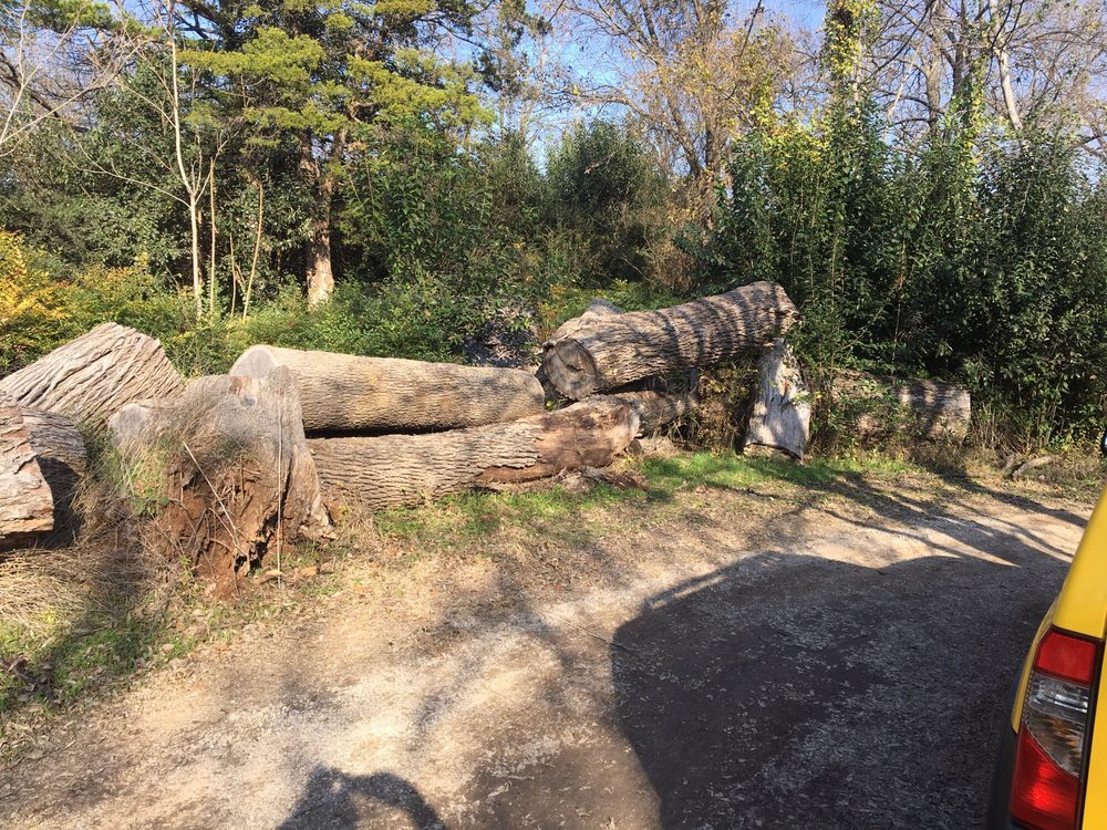 J D's Tree Service - tree service in Dallas, TX