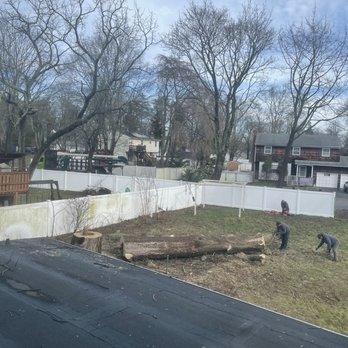 All Island Tree Service - We watched them topple this! Amazing - Tree Services Near Me - Freeport, New York