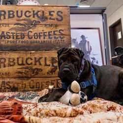 Be sure to stop in and say Hi to Jessie!