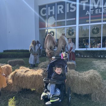 Elevate Church - Christmas activities - Churches Near Me - Hialeah, Florida