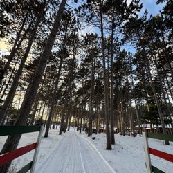 Hansen Tree Farm - POV from the hay ride :)