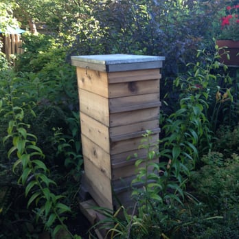 Rick Bayless' Garden Tour - Bees. They didn't bother anyone. - Local Flavor Near Me - Chicago, Illinois
