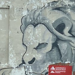 Resting Lion