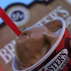 Bruster's Real Ice Cream - No Sugar Added Coffee Ice Cream