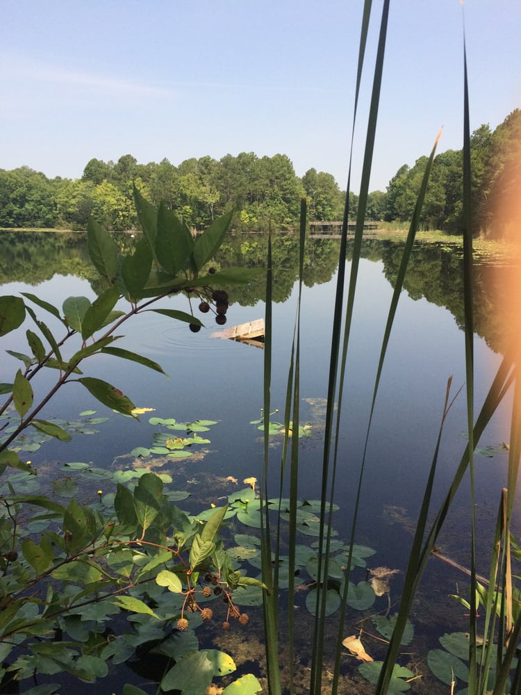 UNF Wildlife Sanctuary Image