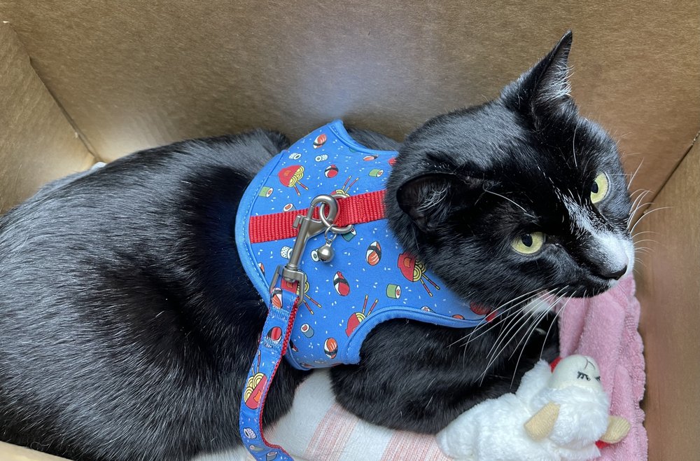 BEAVER CROSSING ANIMAL HOSPITAL - Updated December 2024 - 39 Reviews