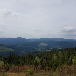 Kickelhahn - In die Weite schauen