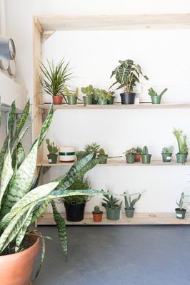 Atomic Furnishing & Design by null