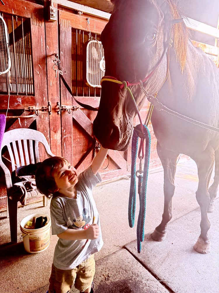 Rutherford Farm - grief counselor in Hollywood, SC