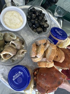 Le Café de Turin by null