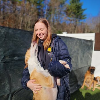 The Doggie Cottage - Pet Sitting Near Me - Gray, Maine