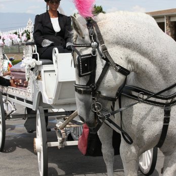 G & F Carriages - Party Equipment Rentals Near Me - Bloomington, California G & F Carriages - Party Equipment Rentals Near Me - Bloomington, California