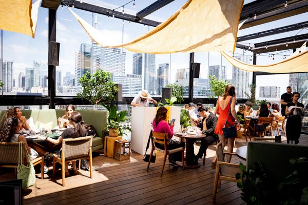 Harriet's Rooftop by null