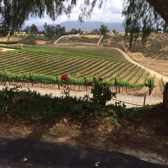 Rockin' Wine Tours - View from Bel Vino winery. - Wine Tours Near Me - Temecula, California