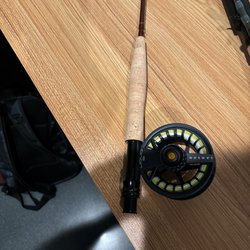 The Avid Angler