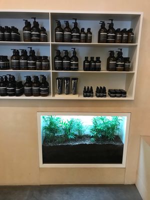 Aesop NW 23rd Avenue by null