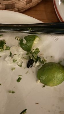 Cervecería Hércules by null