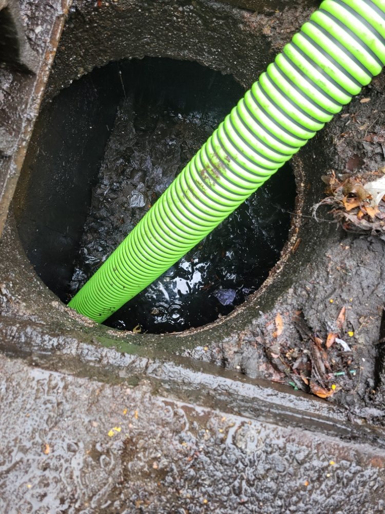 Slide of Ramos plumbing