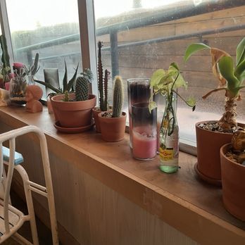 Redheaded Stranger - Cactus decor - Tacos Near Me - Nashville, Tennessee