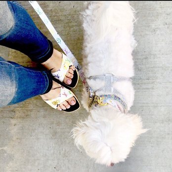 LA Live - Me and my baby Fendi in Louis Vuitton matchy matchy - Dog Parks Near Me - Los Angeles, California LA Live - Me and my baby Fendi in Louis Vuitton matchy matchy - Dog Parks Near Me - Los Angeles, California