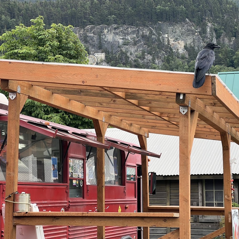 Peppers - Even the native birds love it - Mexican Near Me - Skagway, Alaska
