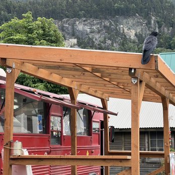 Peppers - Even the native birds love it - Mexican Near Me - Skagway, Alaska Peppers - Even the native birds love it - Mexican Near Me - Skagway, Alaska