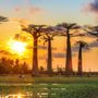 Photo of Cherilyn Rudy -  Evolution Travel