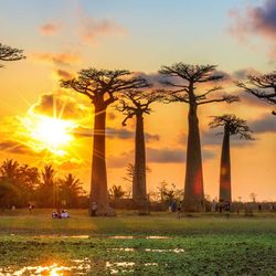 Cherilyn Rudy - Evolution Travel - Madagascar