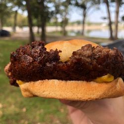 Katy Allen Lake - White grill burger for our picnic lunch
