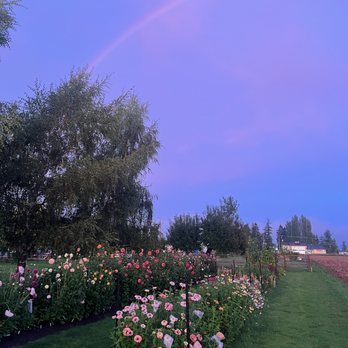 Riverbloom Farms - Floral Designers Near Me - Mount Vernon, Washington