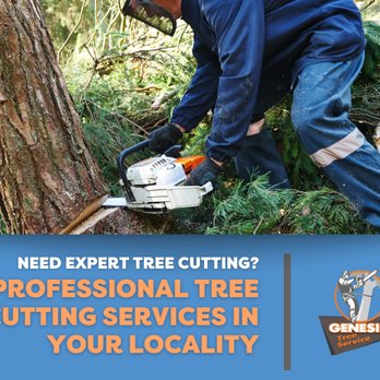 Genesis Tree Service - Tree Services Near Me - Fairfax, Virginia Genesis Tree Service - Tree Services Near Me - Fairfax, Virginia